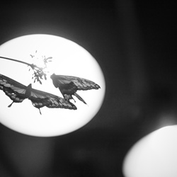 dailyPhoto20
